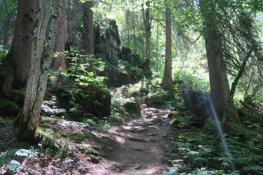 Sentier pédestre : Ardent aux Lindarets_Montriond