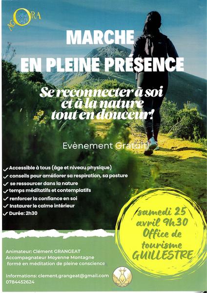 Marche en pleine présence