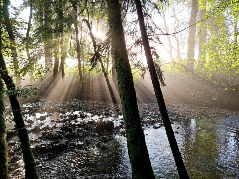 Evasion pêche : nos rivières et lacs à votre rythme_Bellevaux