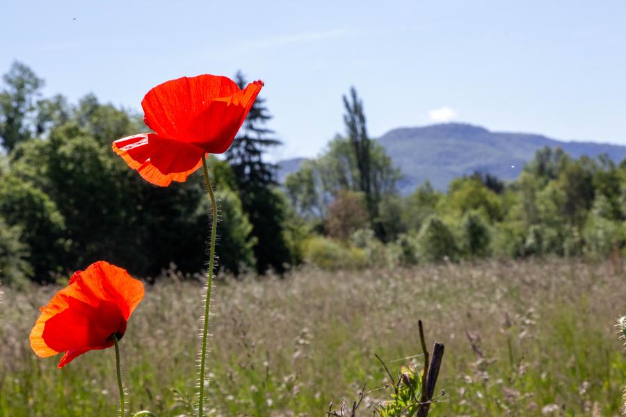 Randonnée des hauts de Lhuis_Lhuis