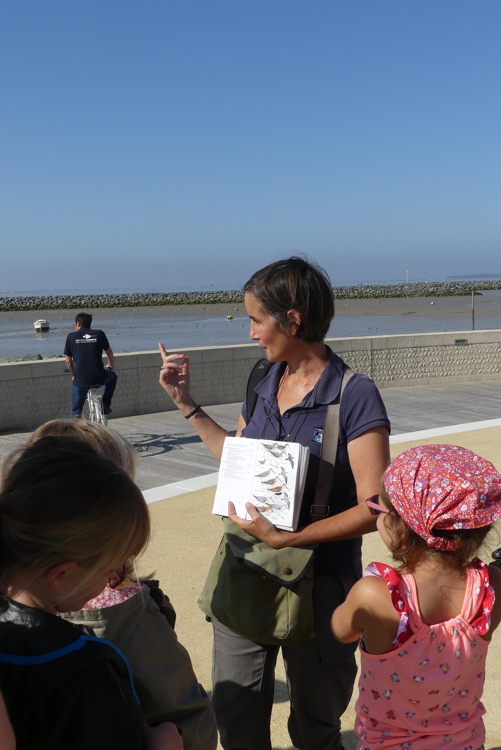 Safari junior : Sur les traces des animaux