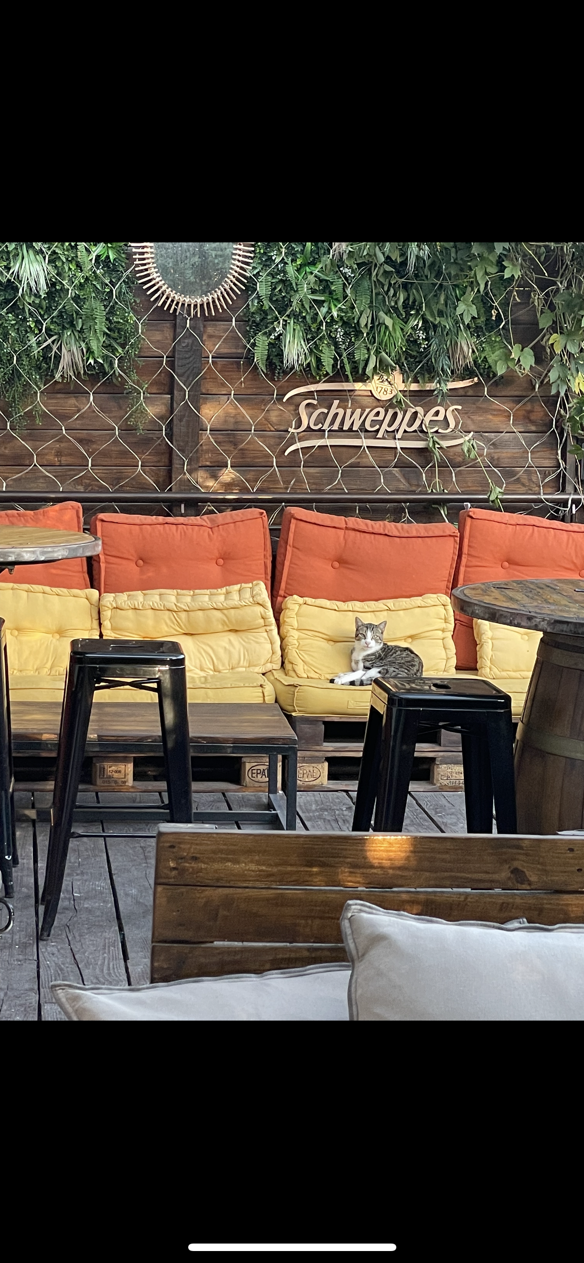 Chez le garde, Vauvenargues - photo 9