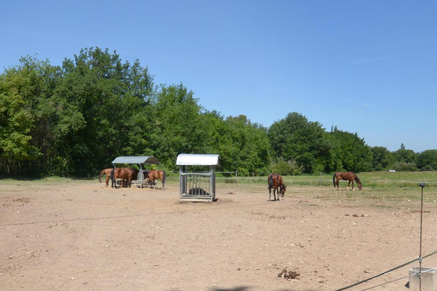 La Bergerie, Meyrargues - photo 17