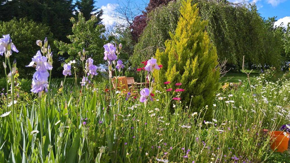 Une vue du jardin Une vue du jardin