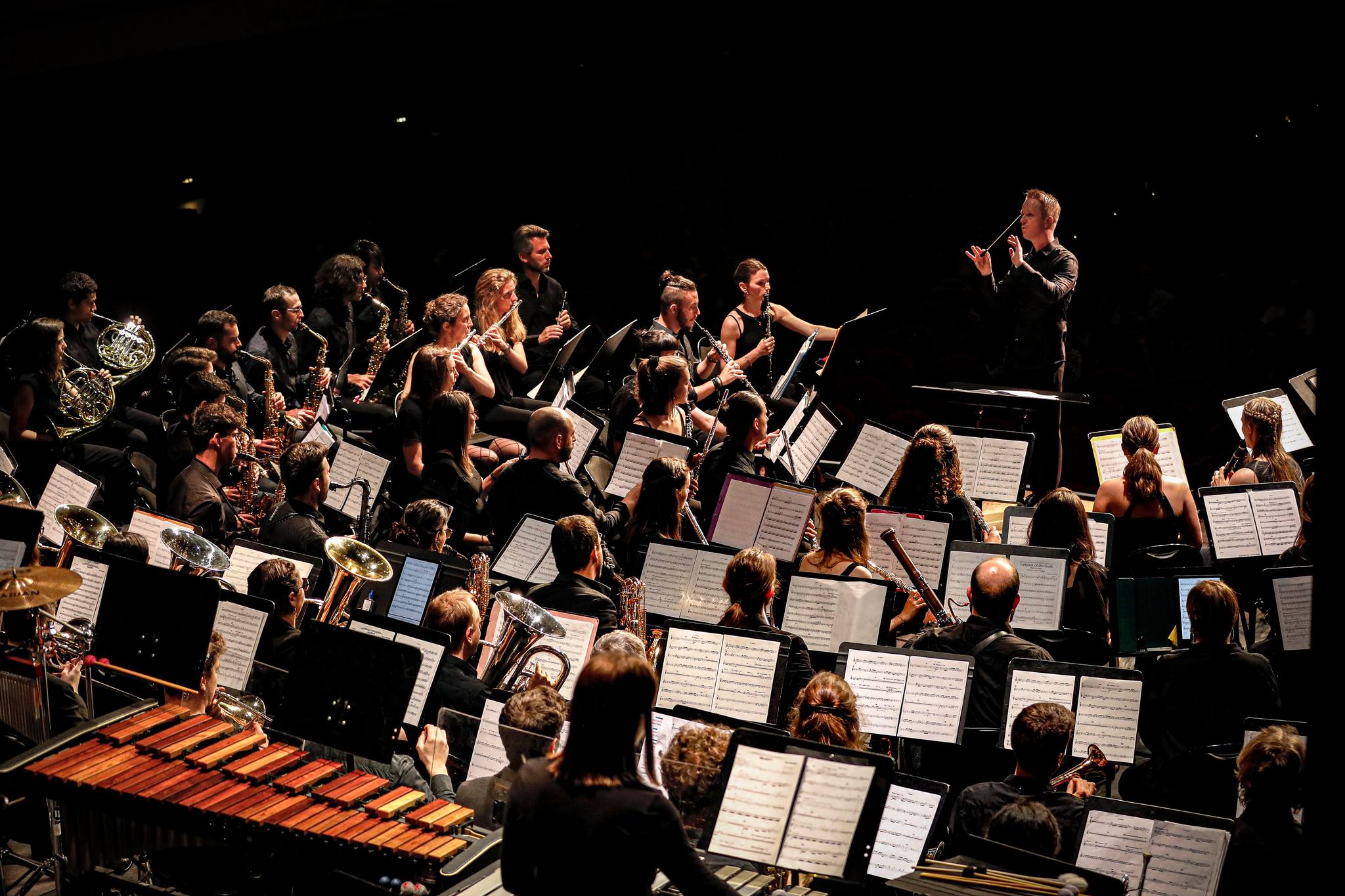 Grand concert de l'Harmonie de l'INSA