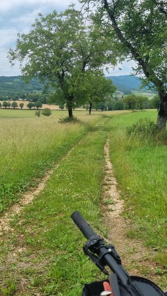 Circuit VTTAE 28 rouge -  Val de Buenc - Balmont