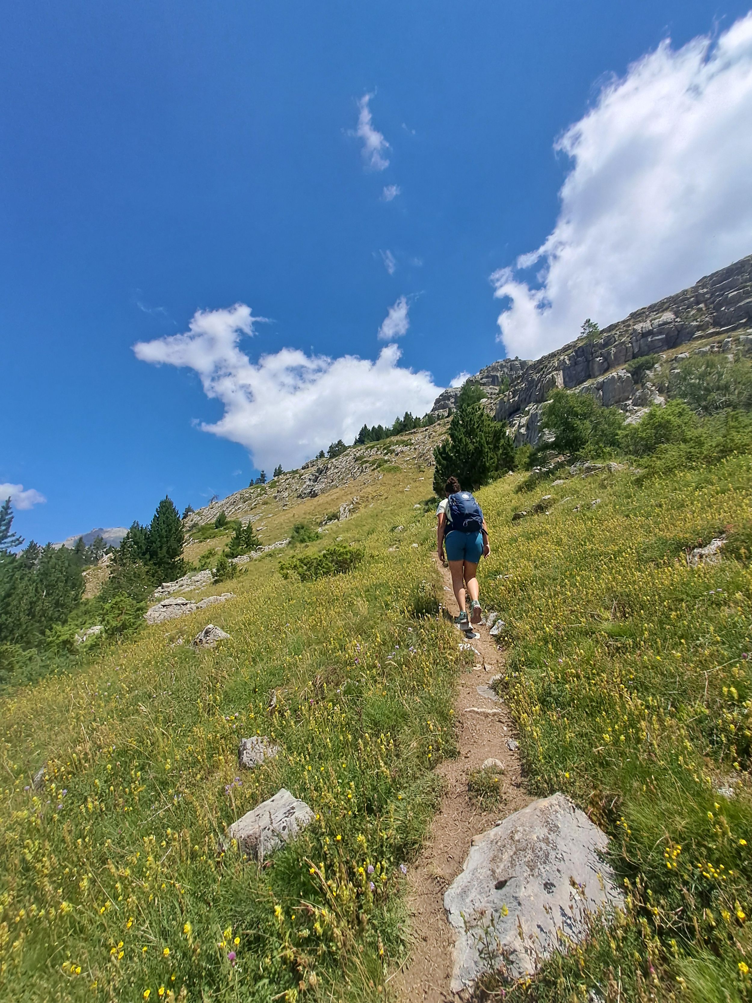 photosFeed-https://static.apidae-tourisme.com/filestore/objets-touristiques/images/155/167/32810907.jpg