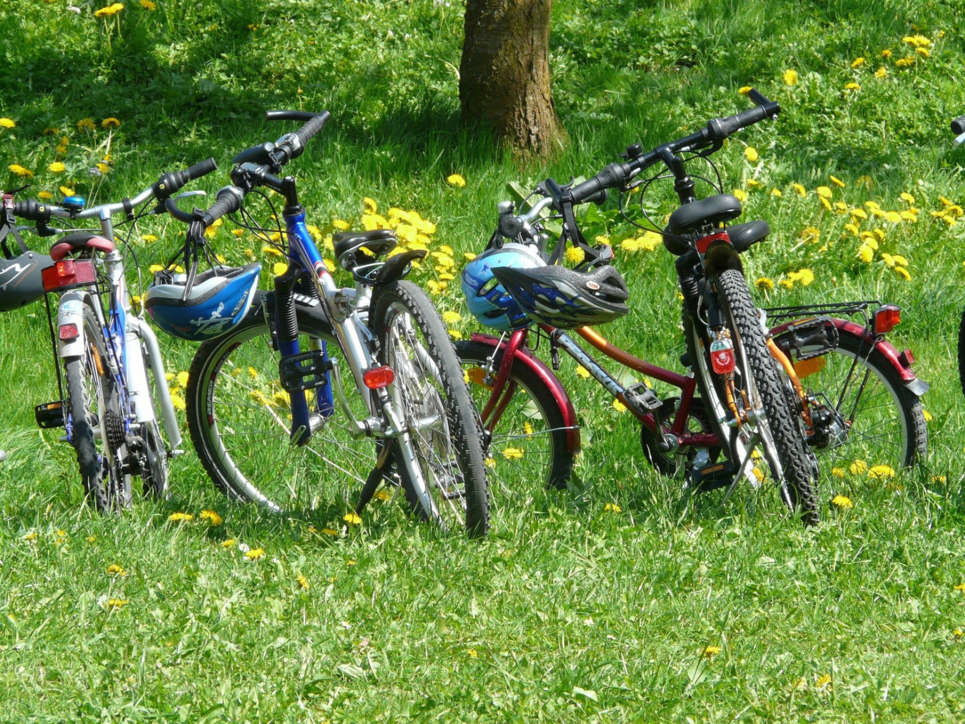 Conversation partagée autour du vélo