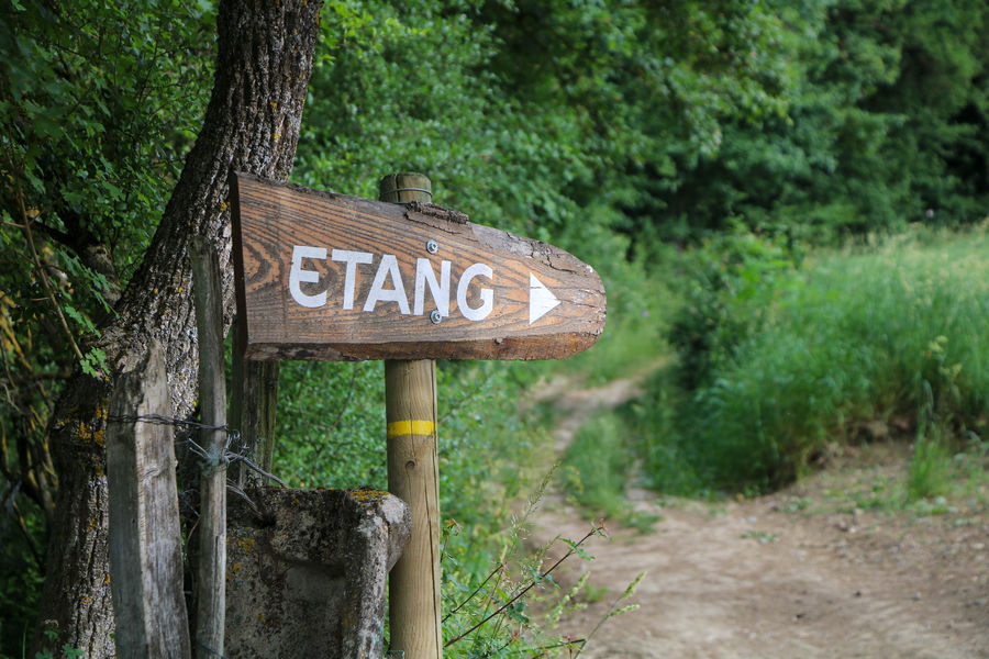 Direction de l'étang