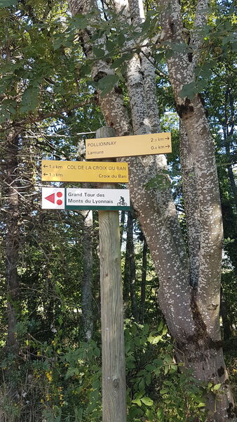 Balade en Vallons Pollionnay