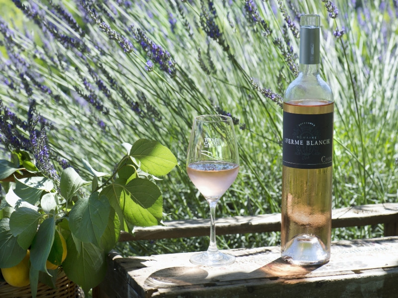 Domaine de la Ferme Blanche