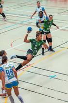 Le handball à votre portée sans inégalité_Saint-Étienne