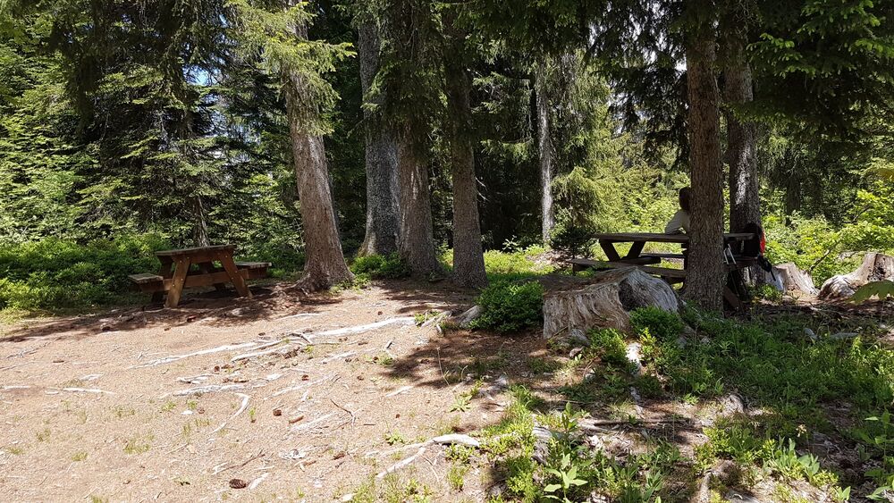 sentier pédestre : sentier forestier de Mayères