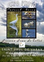 Exposition de photos " L'oiseau, l'eau, le reflet"