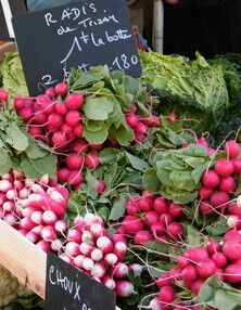 Marché de Breuil-Magné