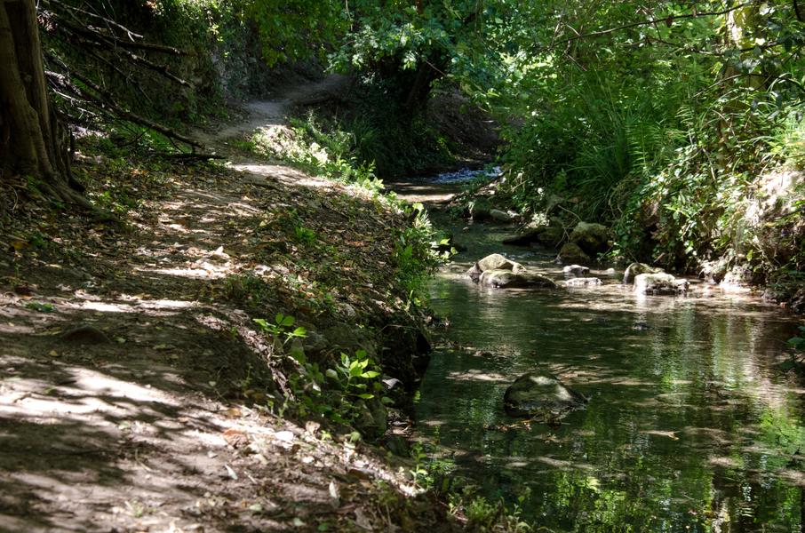 Vallon de Roubaud_Barjols