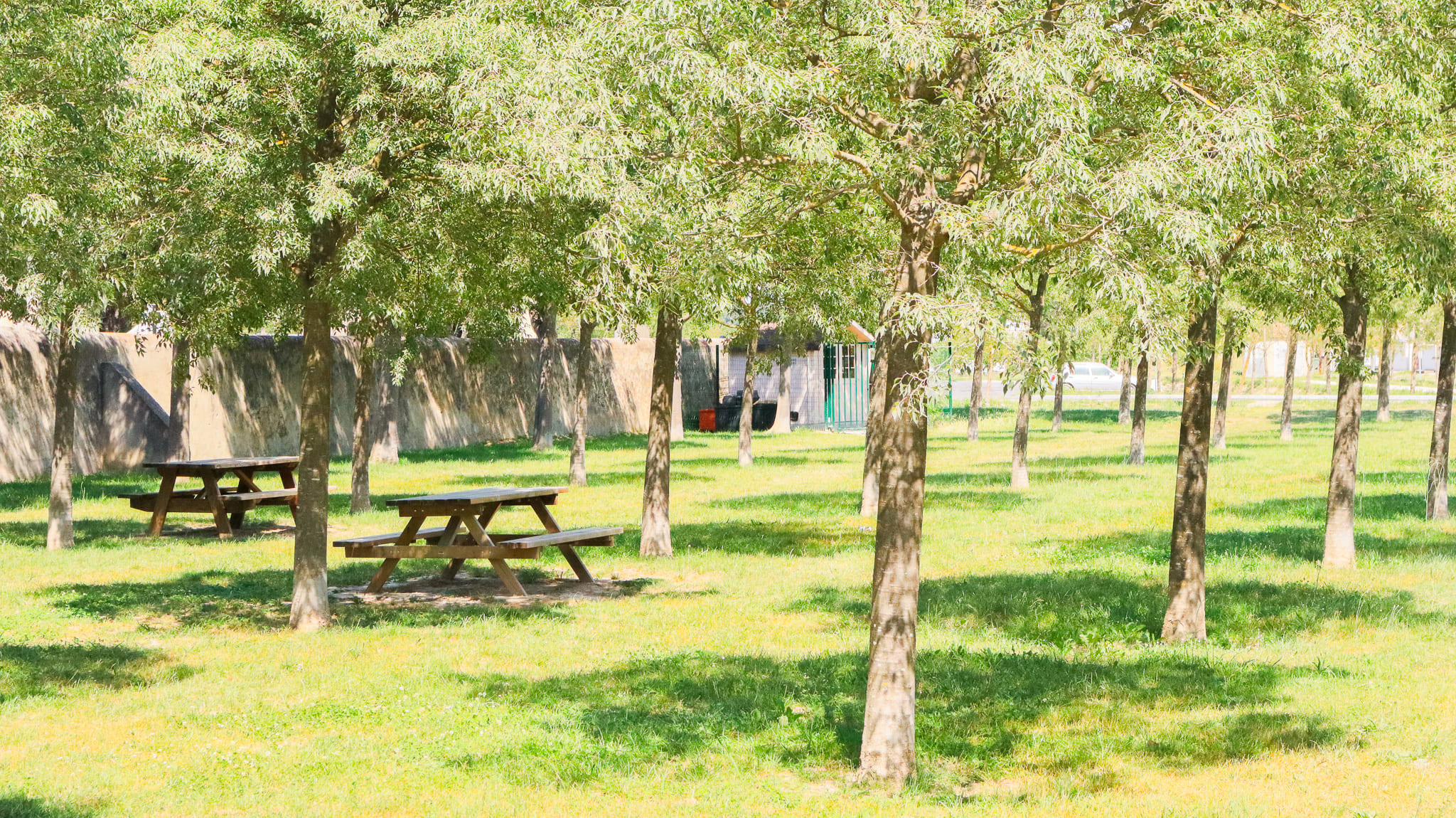 Aire de pique-nique, Graveson - photo 3