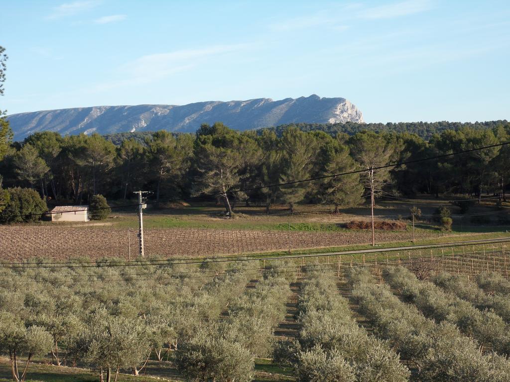Domaine de l'Olibaou - photo 2