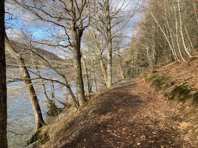 Le sentier longeant le lac