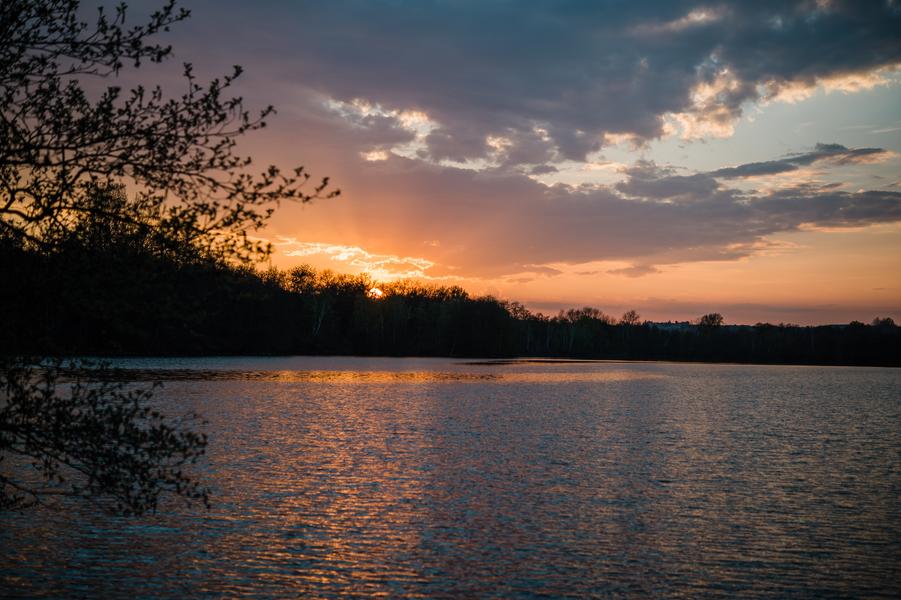 Balade familiale au cœur de l’Espace Naturel Sensible de la Save : de Roche-Plage au Lac de Save_Morestel
