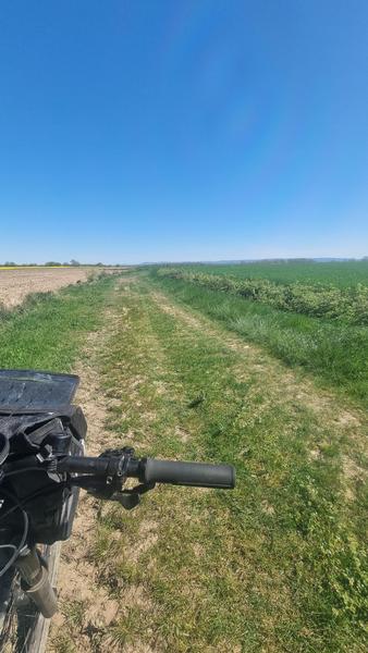 Circuit VTT n°5 (rouge) - L'étang Pontremble_Montrevel-en-Bresse
