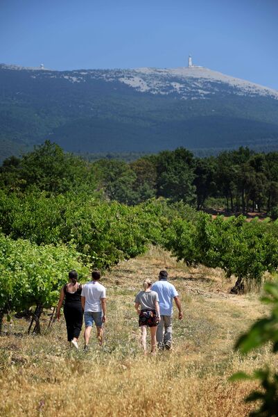 Balade vigneronne