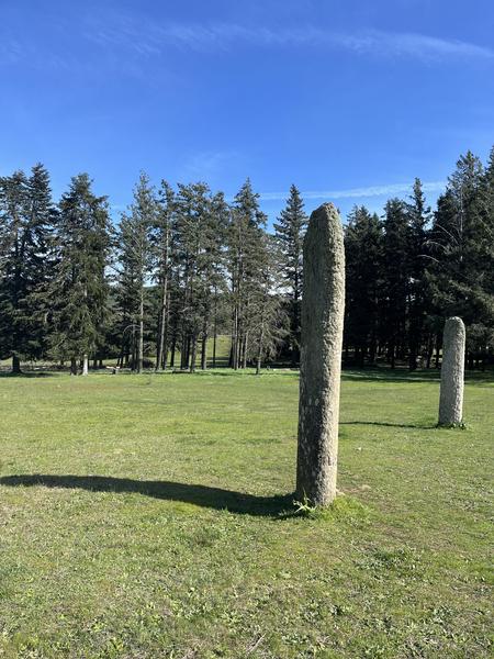 Les menhirs du plateau Lambert_Collobrières