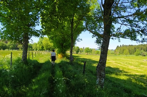 Marche