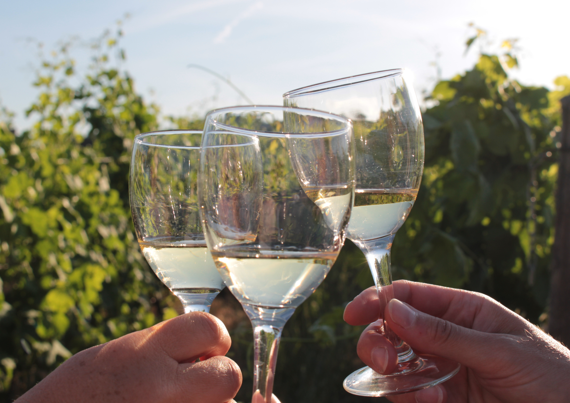 Atelier Création de cocktail et massage dans les vignes