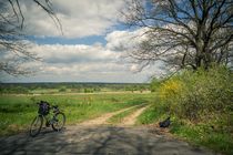 Vélo