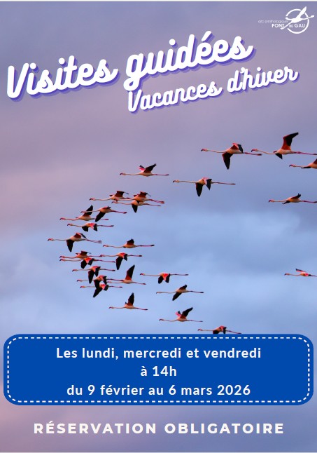 Visite guidée pour les vacances d&rsquo;hiver – Parc ornithologique du Pont de Gau