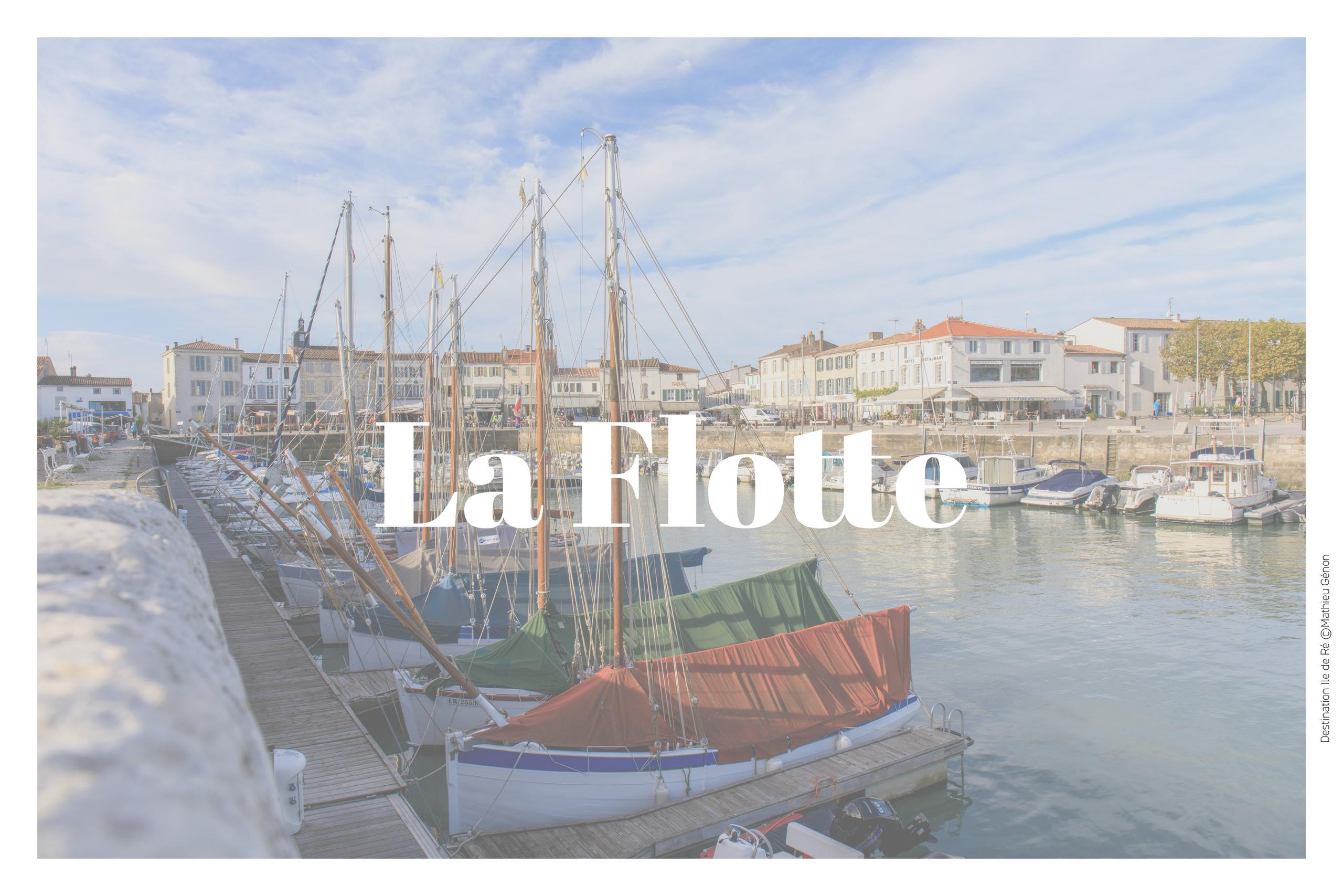 Brocante du Musée du Platin