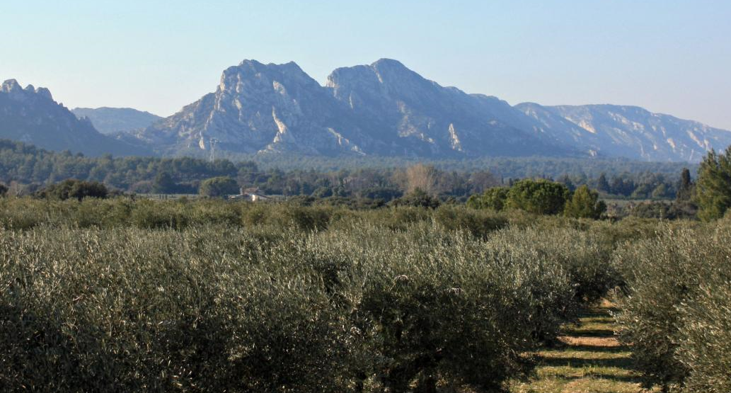 La Farigoule, Plan-d'Orgon - photo 60