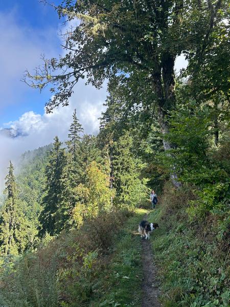 Sentier découverte de Villard Reculas_Villard-Reculas