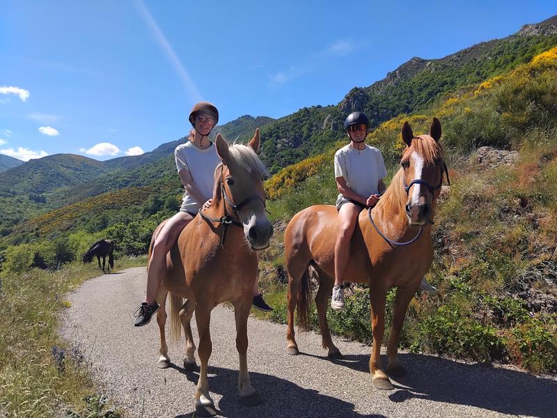 Chambre d'hôtes La Louve_La Souche