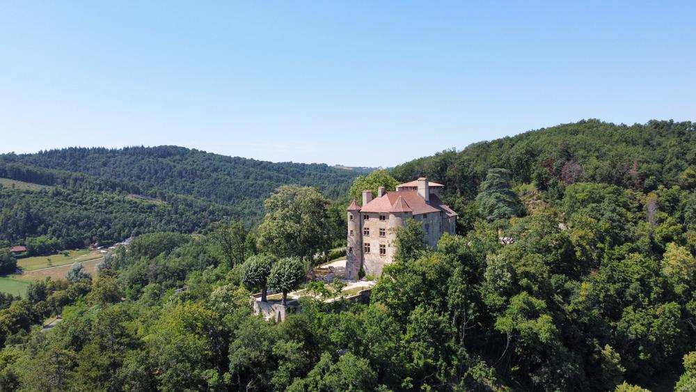 Château de Charmes sur l'Herbasse _