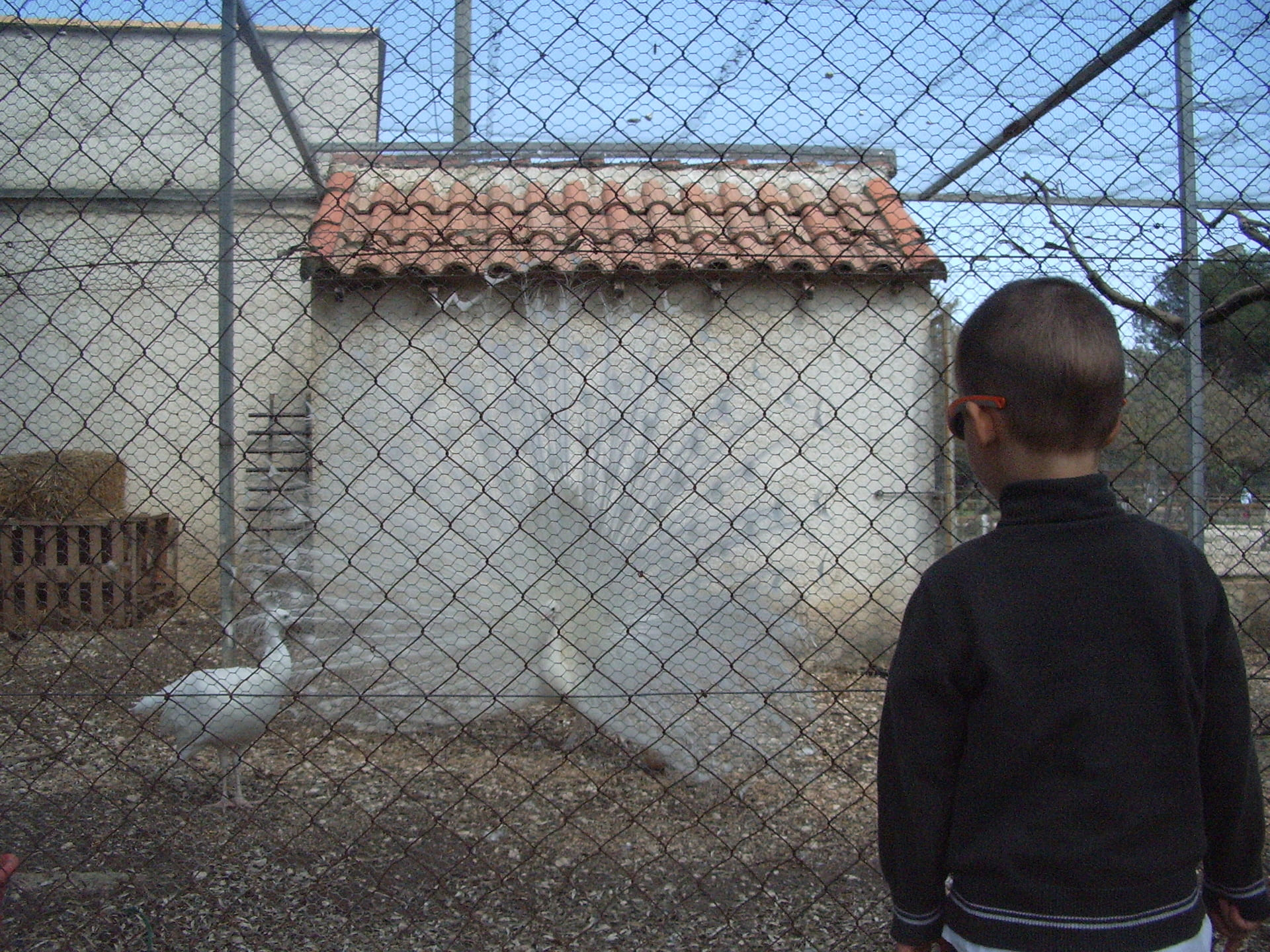 Ferme pédagogique du Parc de Figuerolles