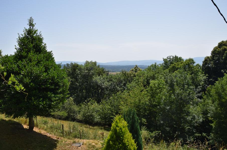 vue gite des libellules