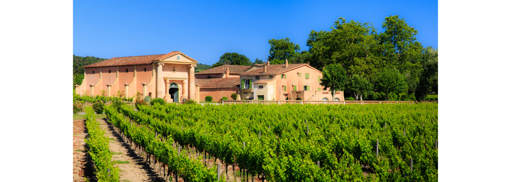 Vignoble Domaine de Bertaud-Belieu_Gassin