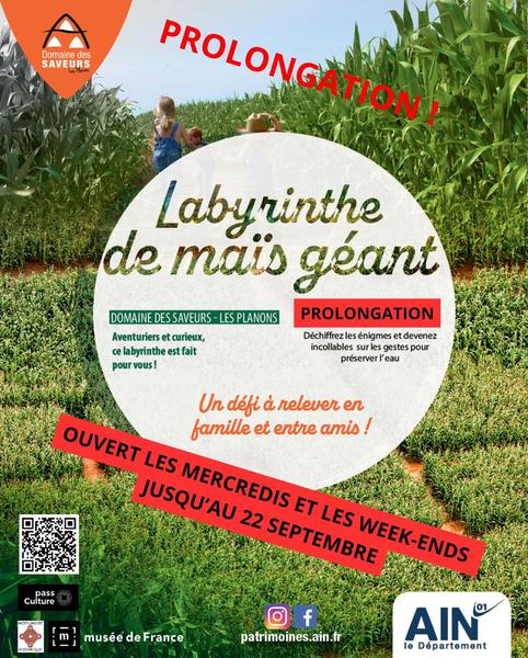 http://Prolongation%20du%20labyrinthe%20de%20maïs%20!