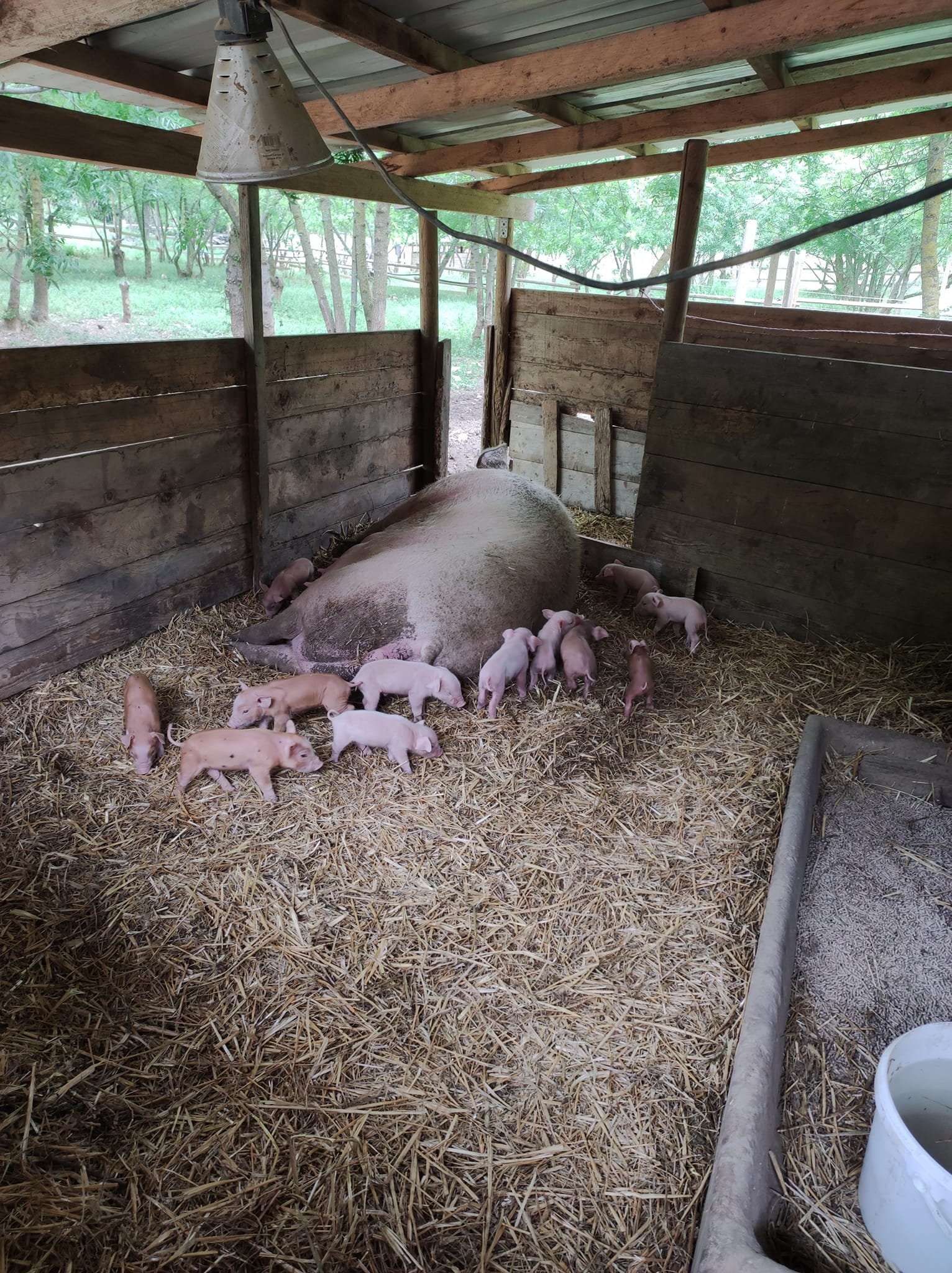 Ferme de Matt et Lili