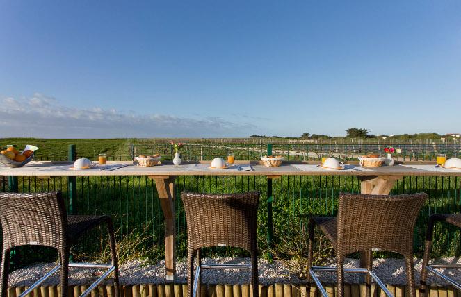 Terrasse vue sur les vignes
