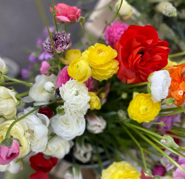 Fleurs d'Arles