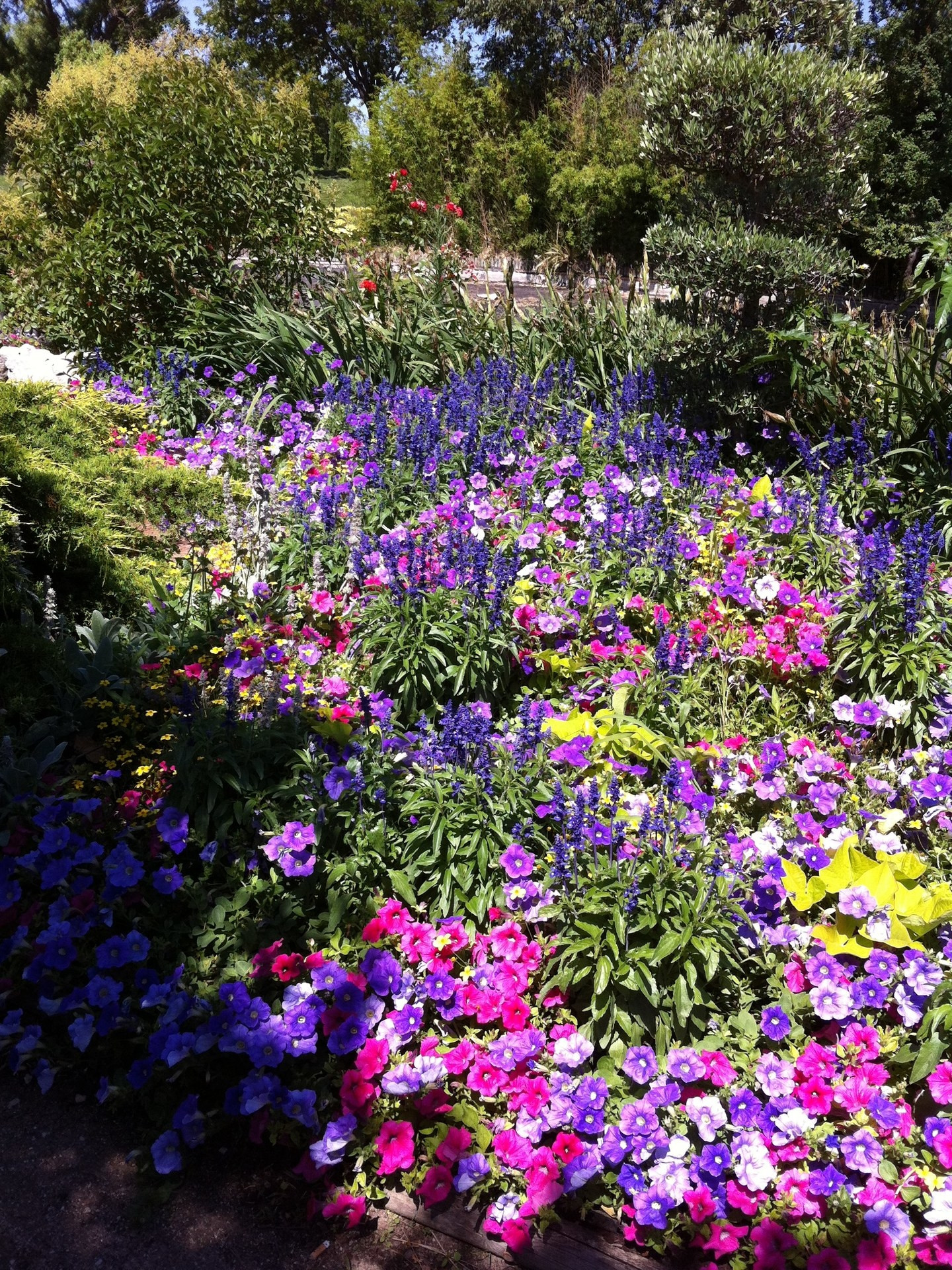 Parc Ferrage, Marignane - photo 4