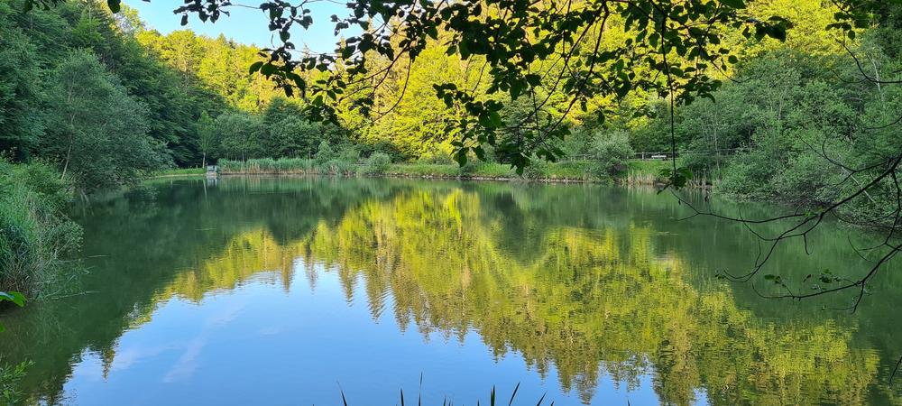 Evasion pêche : nos rivières et lacs à votre rythme_Bellevaux
