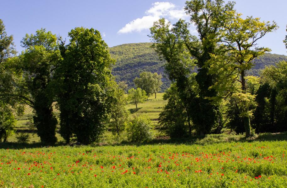 Randonnée des hauts de Lhuis_Lhuis