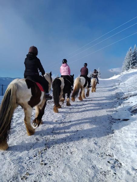 Balade à cheval sur neige_Avoriaz