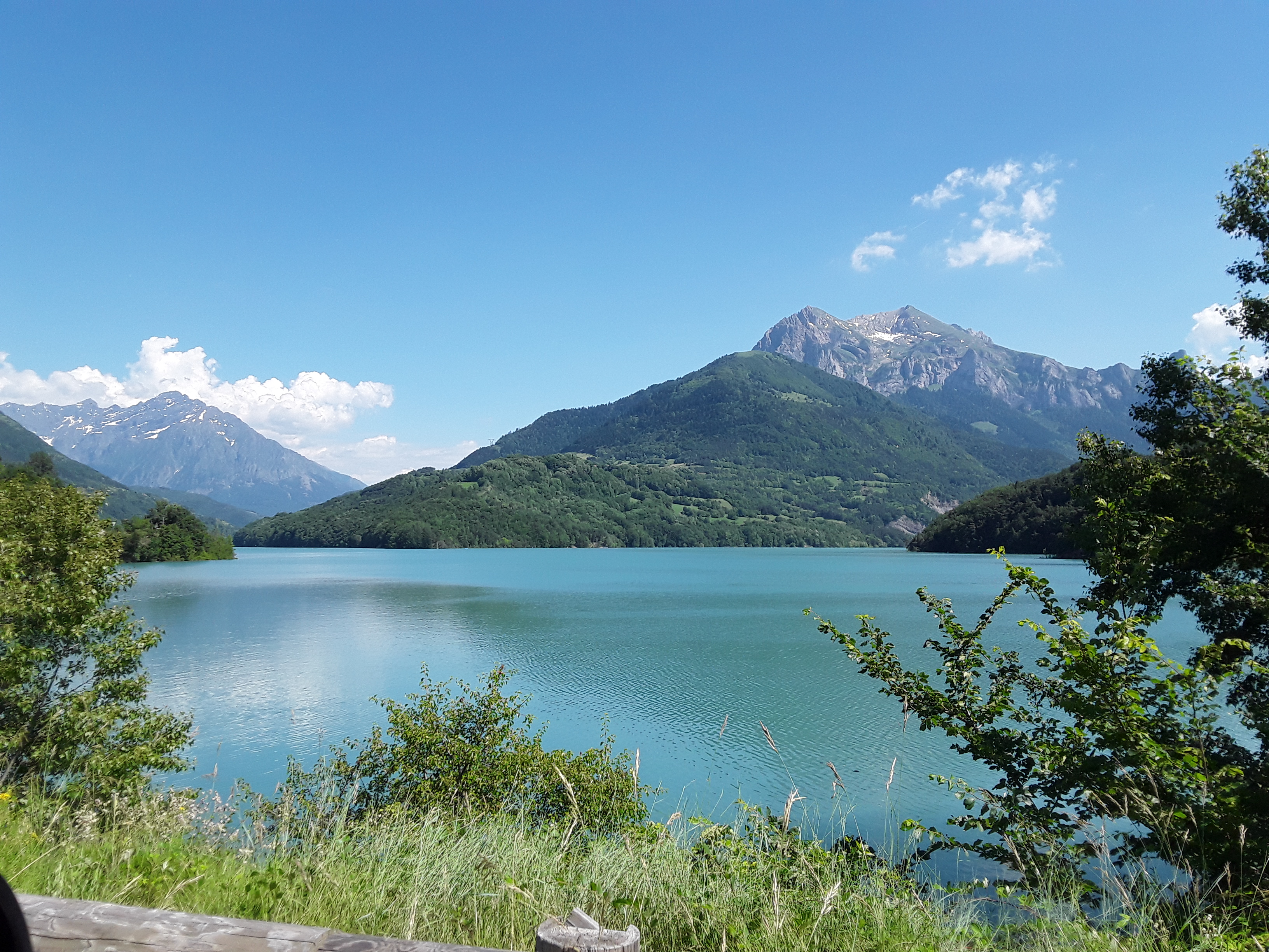 Les grillons zélés - Les Scènes du Mas du Lac 2026_Monestier-d'Ambel
