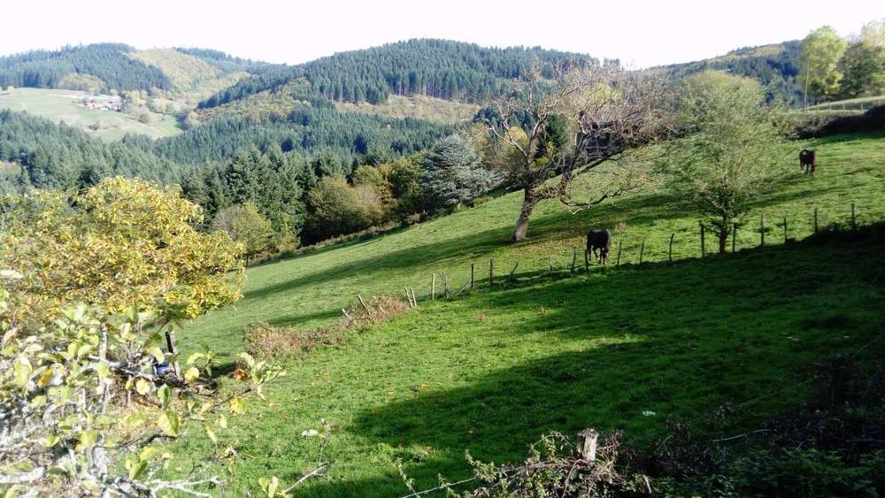 Le Gîte \