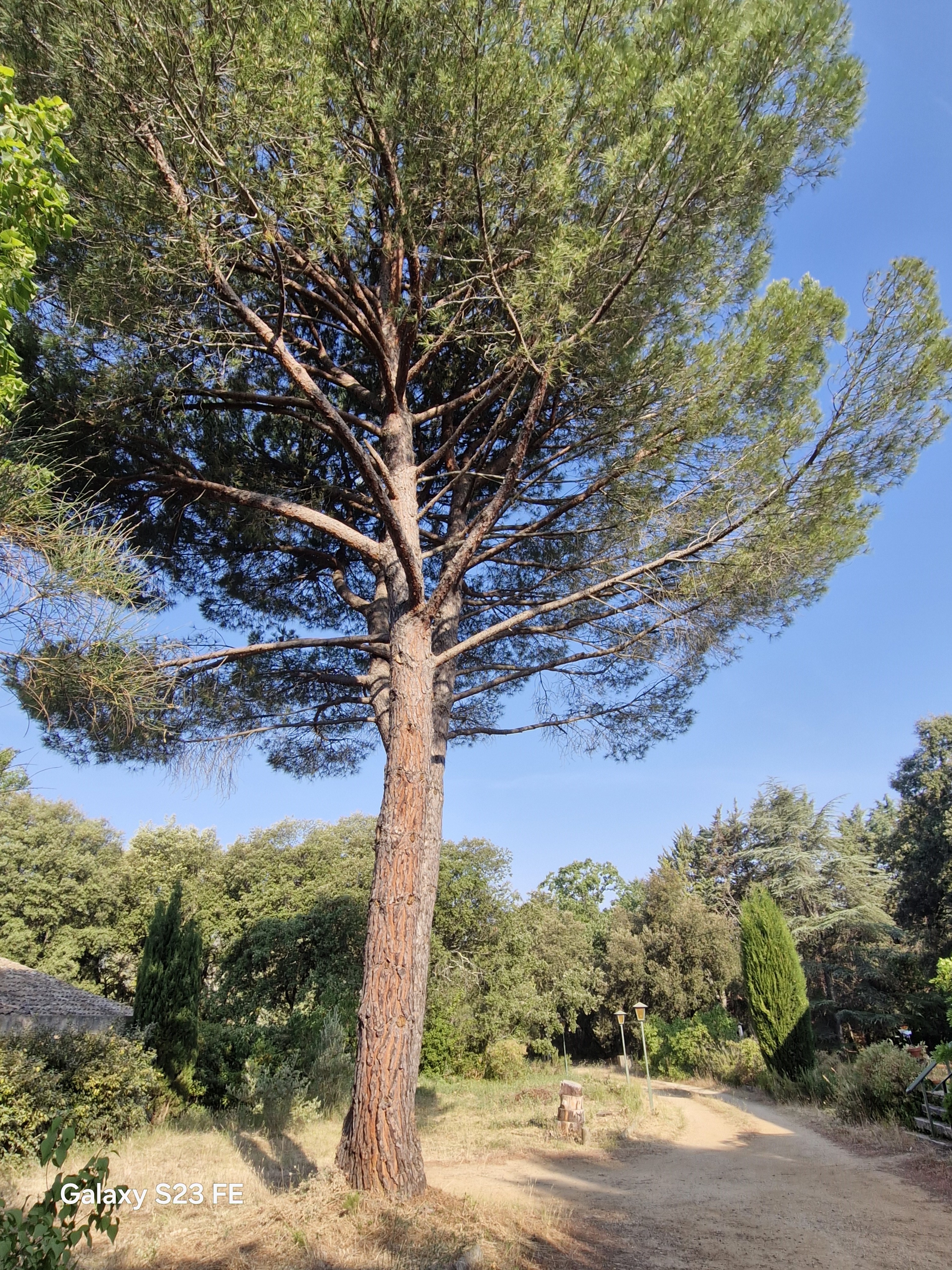 Villa Le Pin, Rognes - photo 12